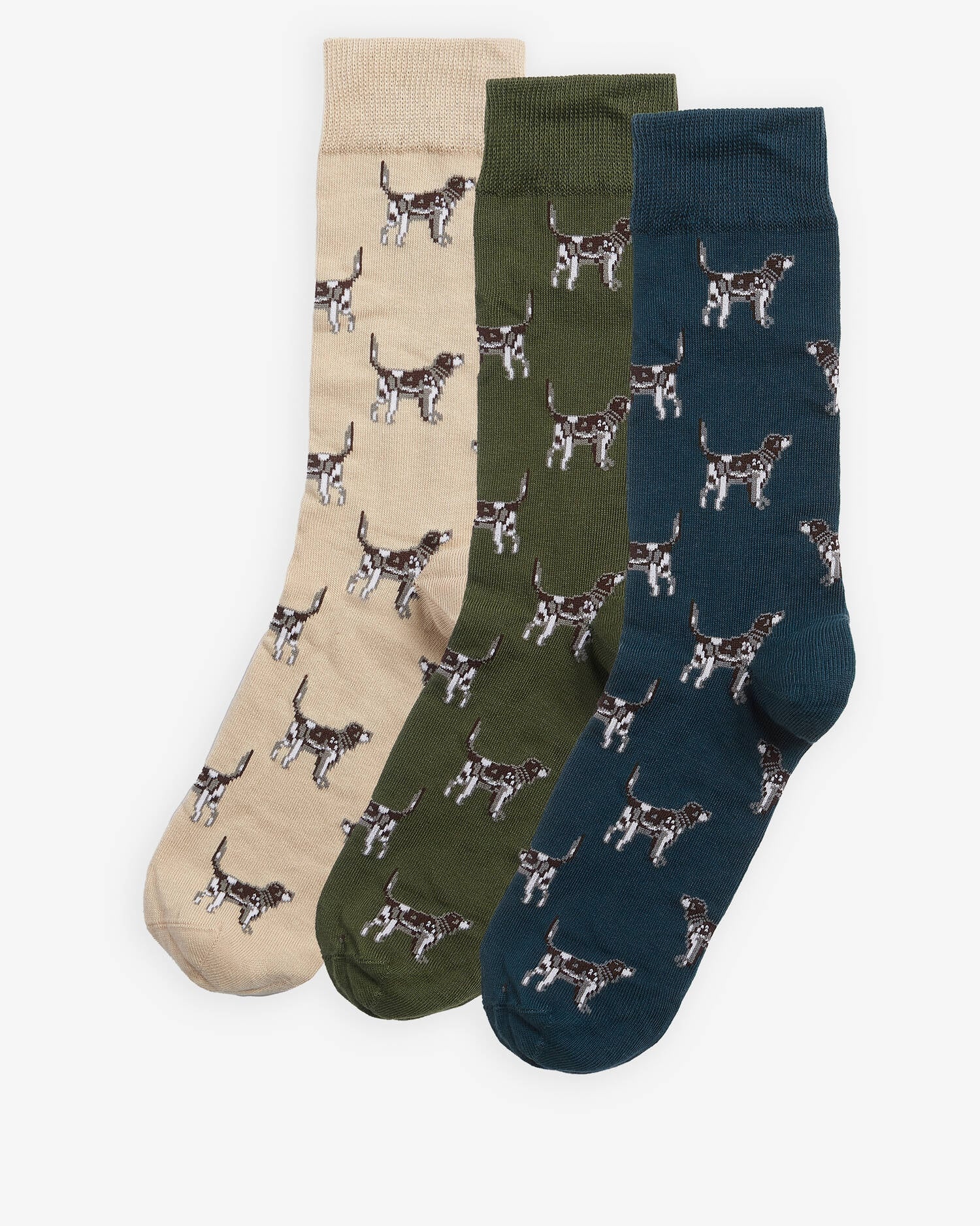 Barbour Pointer dog socks gift box Forest mist