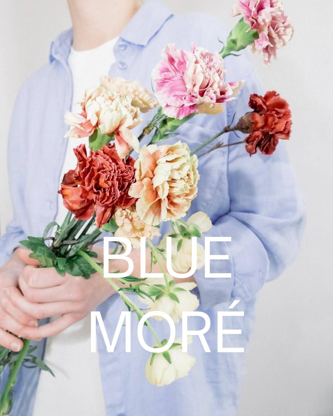 SHOP HERE