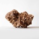 Woestijnroos Woestijnroos twee bloemen, 1350 gr Woestijnroos Woestijnroos twee bloemen, 1350 gr