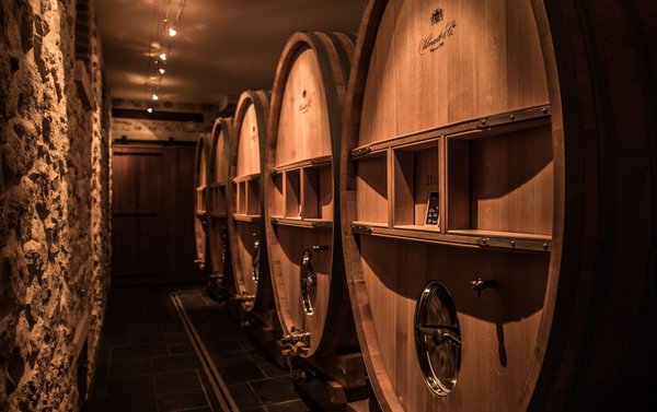 Vilmart & Cie  GRAND CELLIER Vilmart & Cie  GRAND CELLIER