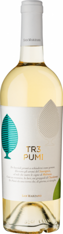 San Marzano Tr3 Pum! Bianco 2023 San Marzano Tr3 Pum! Bianco 2023
