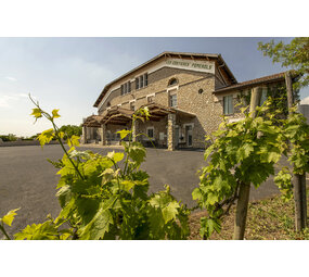 Les Costières de Pomerols Montclair, Viognier 2023 Les Costières de Pomerols Montclair, Viognier 2023