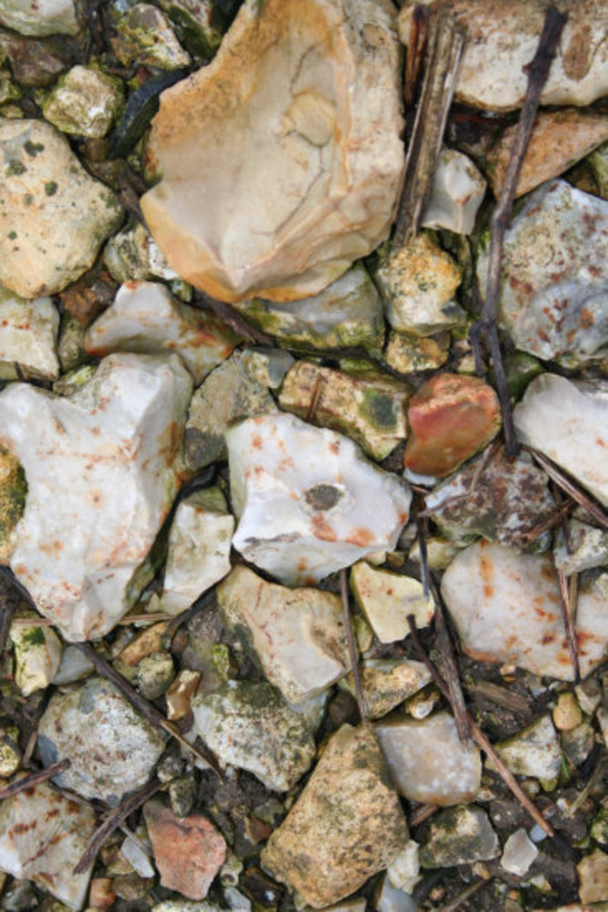 André Neveu Sancerre Blanc Le Grand Fricambault Silex 2023 André Neveu Sancerre Blanc Le Grand Fricambault Silex 2023