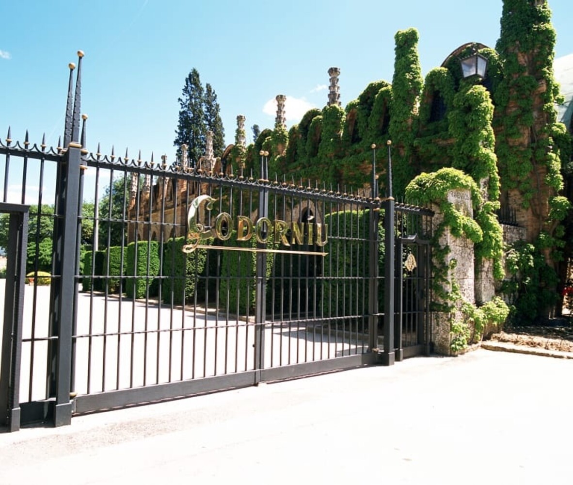 Codorniu Cava Anna de Codorníu, Blanc de Blancs Brut Codorniu Cava Anna de Codorníu, Blanc de Blancs Brut