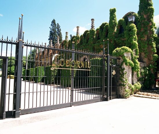 Codorniu Cava Anna de Codorníu, Blanc de Blancs Brut Codorniu Cava Anna de Codorníu, Blanc de Blancs Brut