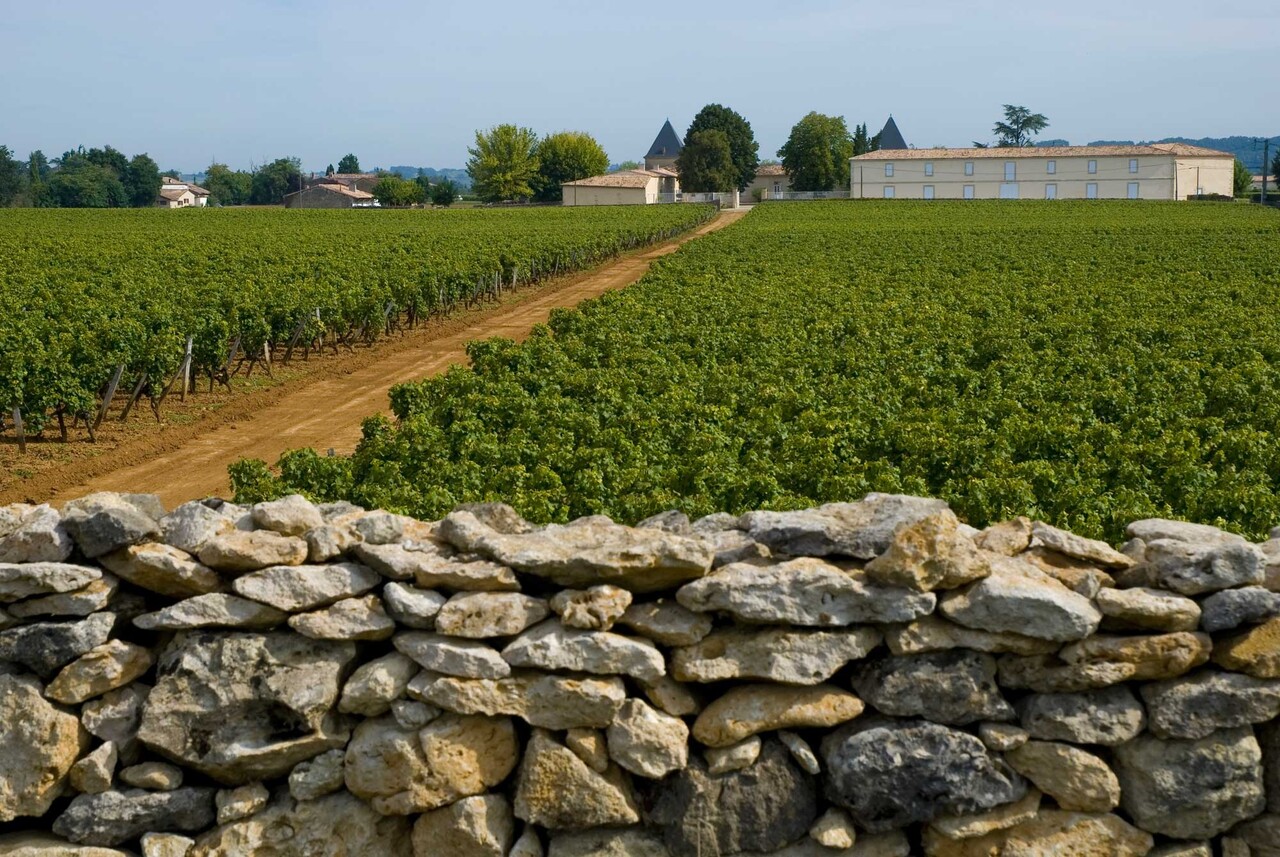 Fine & Rare  Château Climens 1er Grand Cru 2005