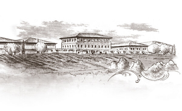 Rioja Vega Crianza 2021 Rioja Vega Crianza 2021