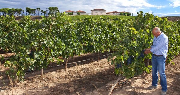 Rioja Vega Crianza 2021 Rioja Vega Crianza 2021