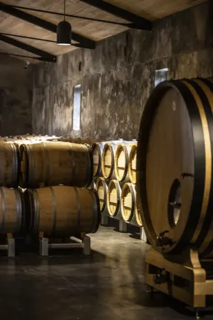 Fine & Rare  Château Palmer, Margaux 2015