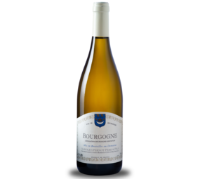 Barolet Pernot  Bourgogne Blanc 2022 Barolet Pernot  Bourgogne Blanc 2022