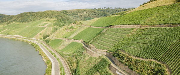 Matthias Müller Bopparder Hamm Riesling Spätlese 2023 Matthias Müller Bopparder Hamm Riesling Spätlese 2023