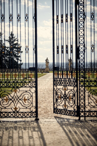 Fine & Rare  Château Laroque, Saint-Émilion 2022 Fine & Rare  Château Laroque, Saint-Émilion 2022