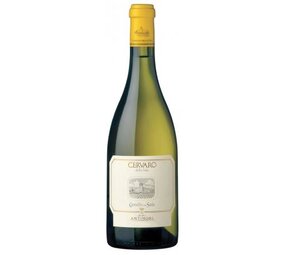 Antinori Cervaro della Sala 2024 Antinori Cervaro della Sala 2024