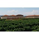 Rioja Vega Tempranillo Blanco Reserva 2021 Rioja Vega Tempranillo Blanco Reserva 2021