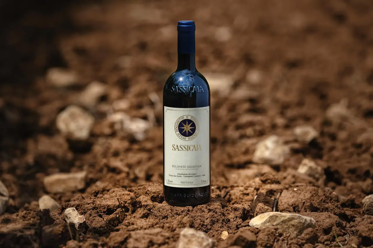 Fine & Rare  Tenuta San Guido, Sassicaia 2022 (OWC 6)