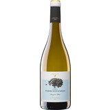 Pedro Escudero (Bodega) Valdelagunde, Sauvignon Blanc 2024 Pedro Escudero (Bodega) Valdelagunde, Sauvignon Blanc 2024