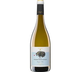 Pedro Escudero (Bodega) Valdelagunde, Sauvignon Blanc 2024 Pedro Escudero (Bodega) Valdelagunde, Sauvignon Blanc 2024