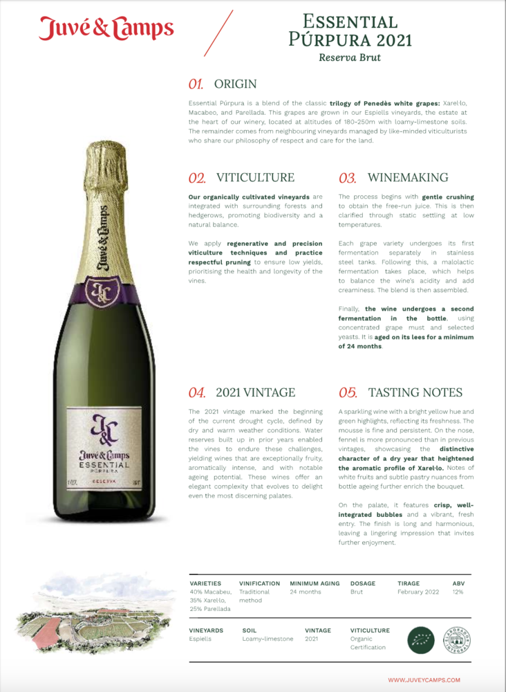 Juvé & Camps Essential Púrpura Reserva Brut (BIO) 2022 Juvé & Camps Essential Púrpura Reserva Brut (BIO) 2022