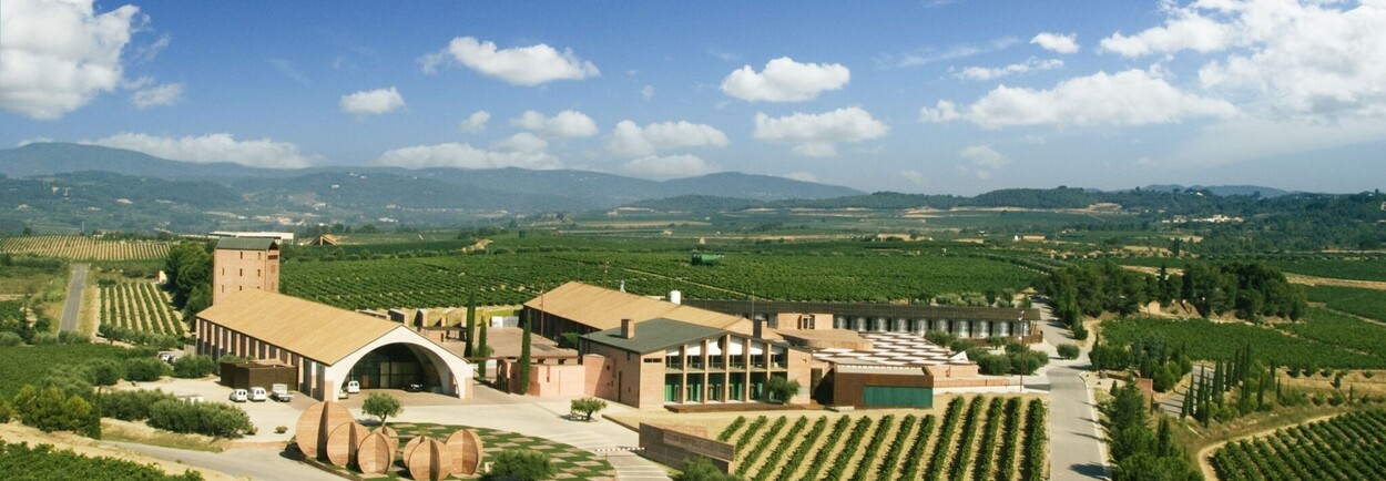 Nieuw in ons assortiment: Juvé & Camps – Cava van topniveau