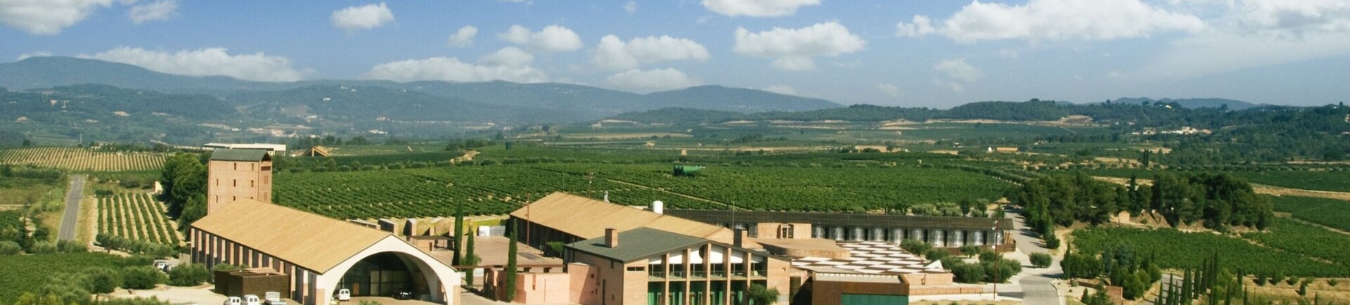 Nieuw in ons assortiment: Juvé & Camps – Cava van topniveau