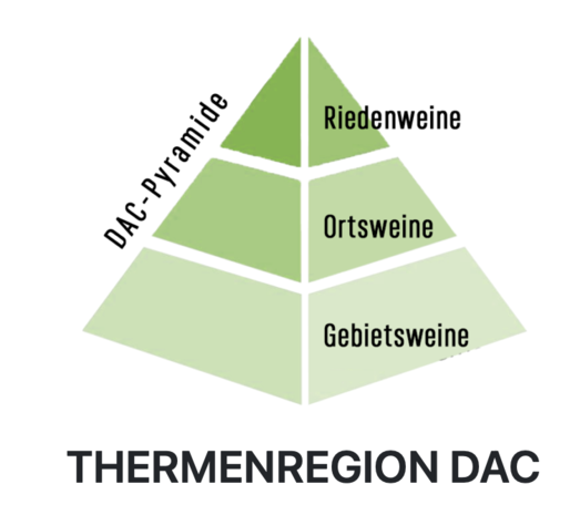 Auer (Weingut Familie) Pinot Noir, tattendorf Ried Holzspur (Reserve) 2021 Auer (Weingut Familie) Pinot Noir, tattendorf Ried Holzspur (Reserve) 2021