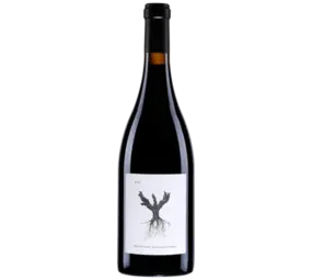 Pingus  PSI 2022 Pingus  PSI 2022