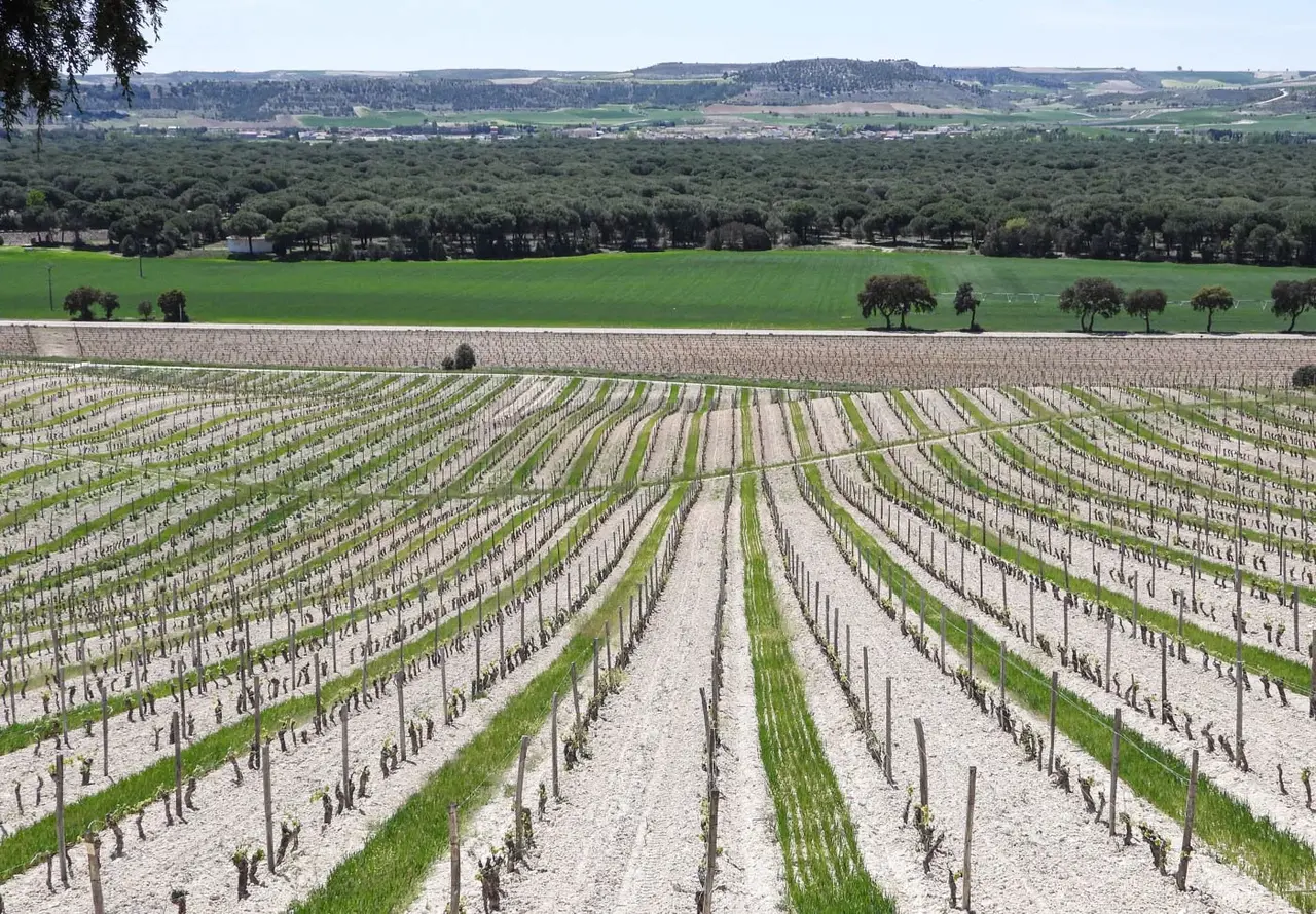 Hacienda Monasterio Reserva 2020 Hacienda Monasterio Reserva 2020