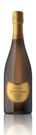 Juvé & Camps Milesimé Chardonnay Gran Reserva Brut 2020