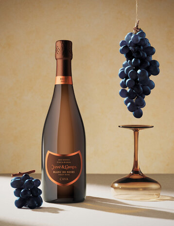 Juvé & Camps Blanc de Noirs Gran Reserva Brut 2022
