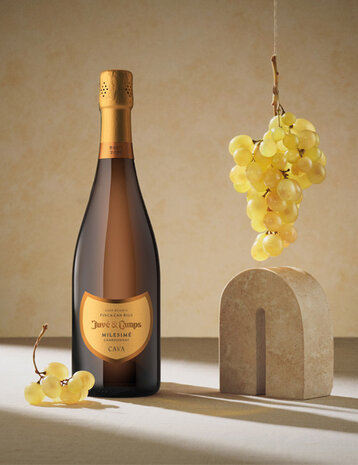 Juvé & Camps Milesimé Chardonnay Gran Reserva Brut 2020