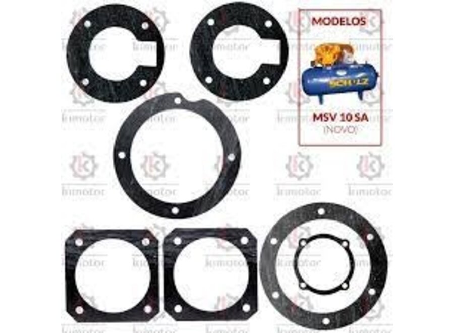 Gasket set msv 40  10