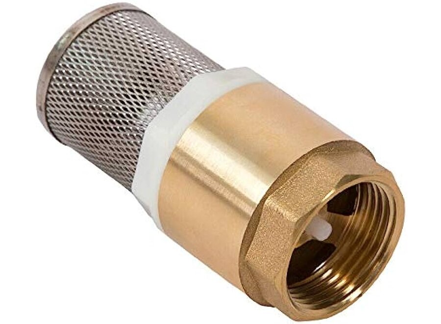 foot valveb bsp brass check valve spring 1''