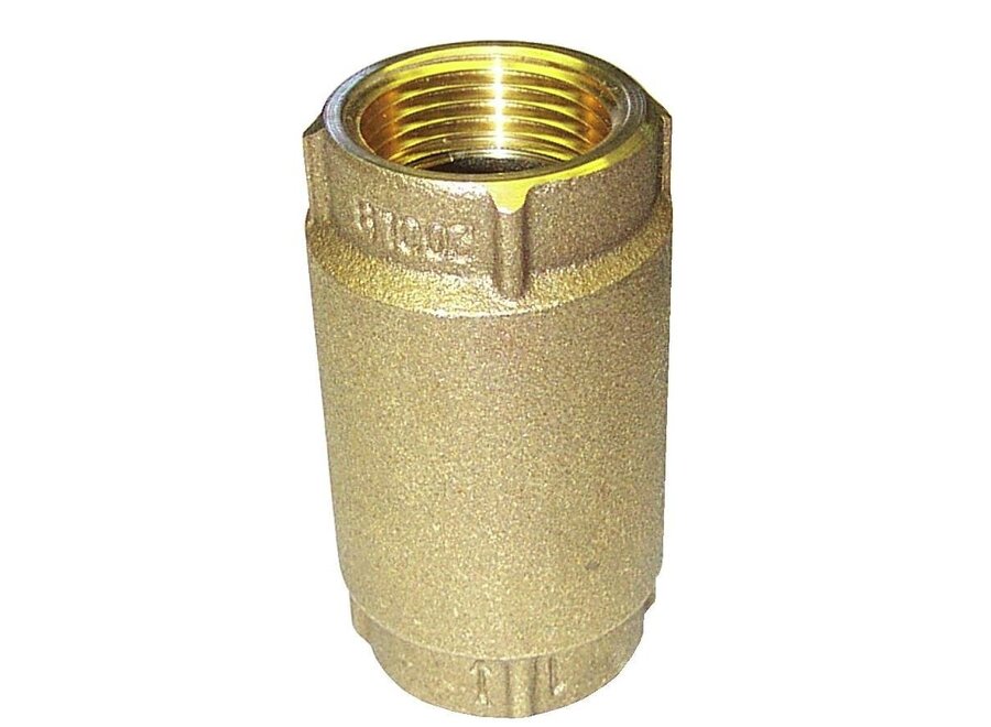 Merrill Brass check valve 1"