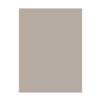 Silk supermat premium lichtbeige Pax