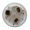Green Tree Candle Company Edelsteenkaars Sweet Ginger Vitality - Aromatherapie - Green Tree