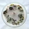 Green Tree Candle Company Edelsteenkaars Patchouli Good Luck - Aromatherapie - Green Tree