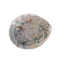 Green Tree Candle Company Abalone schelp 12 - 15 cm