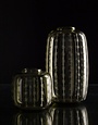 qubus design cactus vase groot