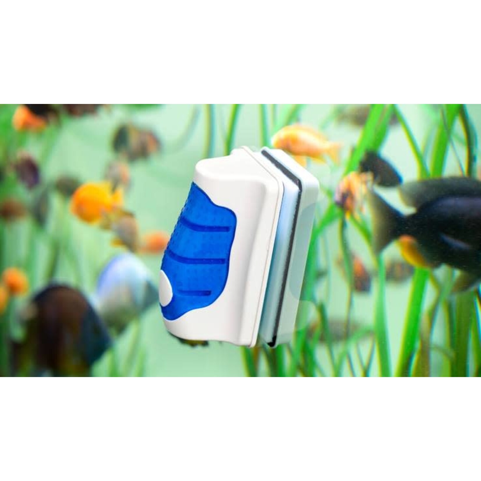 Jöst Jöst aquarium algenmagneet set XL