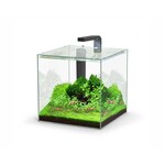 Aquatlantis Aquarium kubus 22 l 29x29.8x29 cm incl. led