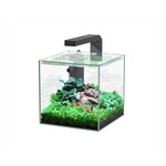 Aquatlantis AQUATLANTIS AQUARIUM KUBUS 5 L 18X18.6X18 CM INCL. LED