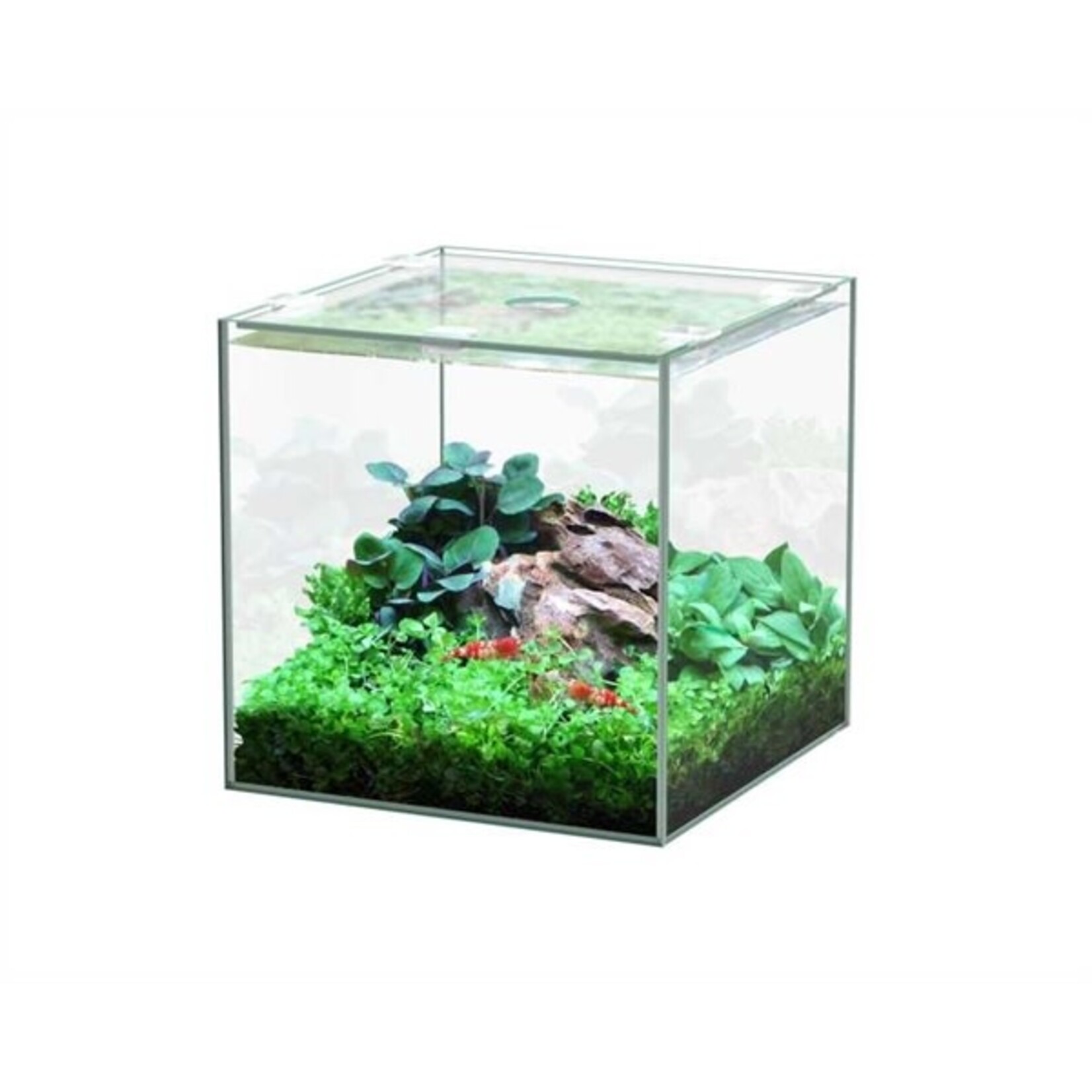 Aquatlantis Aquarium volglas kubus 5 l 18x18.6x18 cm