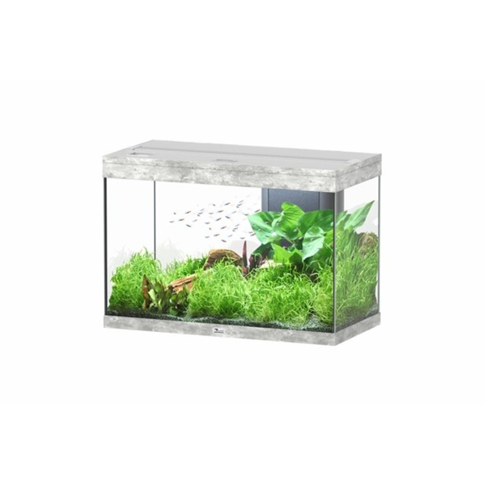 Aquatlantis Aquarium splendid 80 biobox beton-059