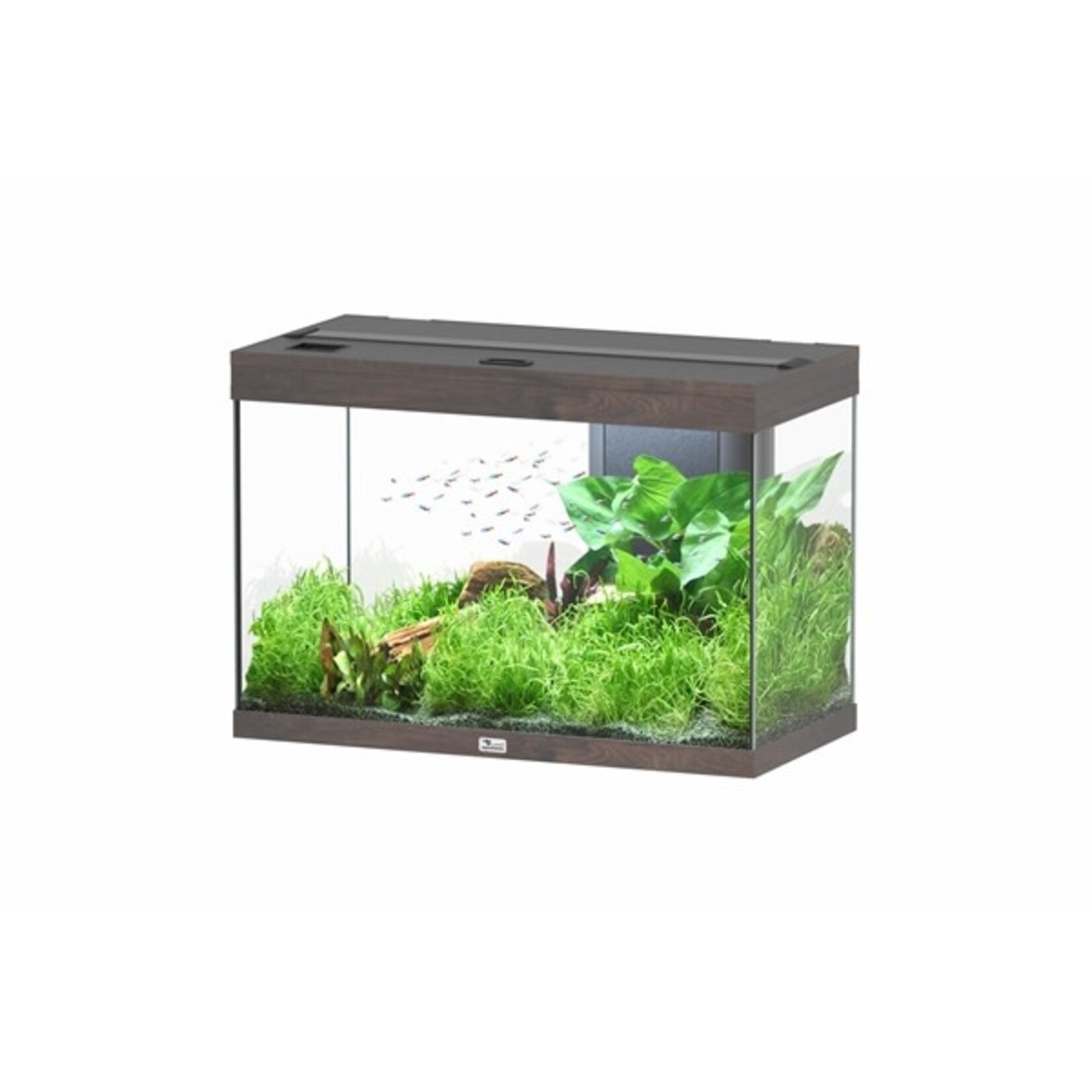 Aquatlantis Aquarium splendid 80 biobox donkerbruin-096