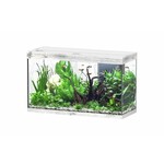 Aquatlantis Aquarium splendid 100 biobox whitewash-088