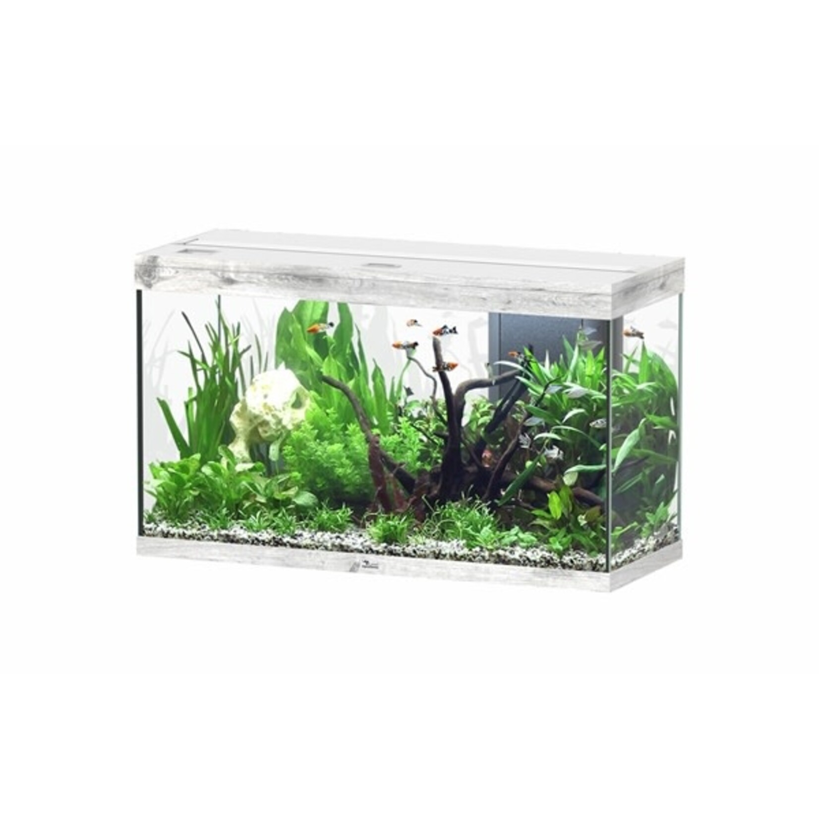 Aquatlantis Aquarium splendid 100 biobox whitewash-088