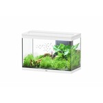 Aquatlantis Aquarium splendid 80 biobox wit-025