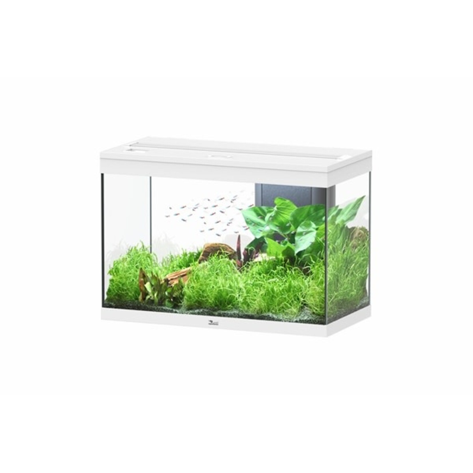 Aquatlantis Aquarium splendid 80 biobox wit-025