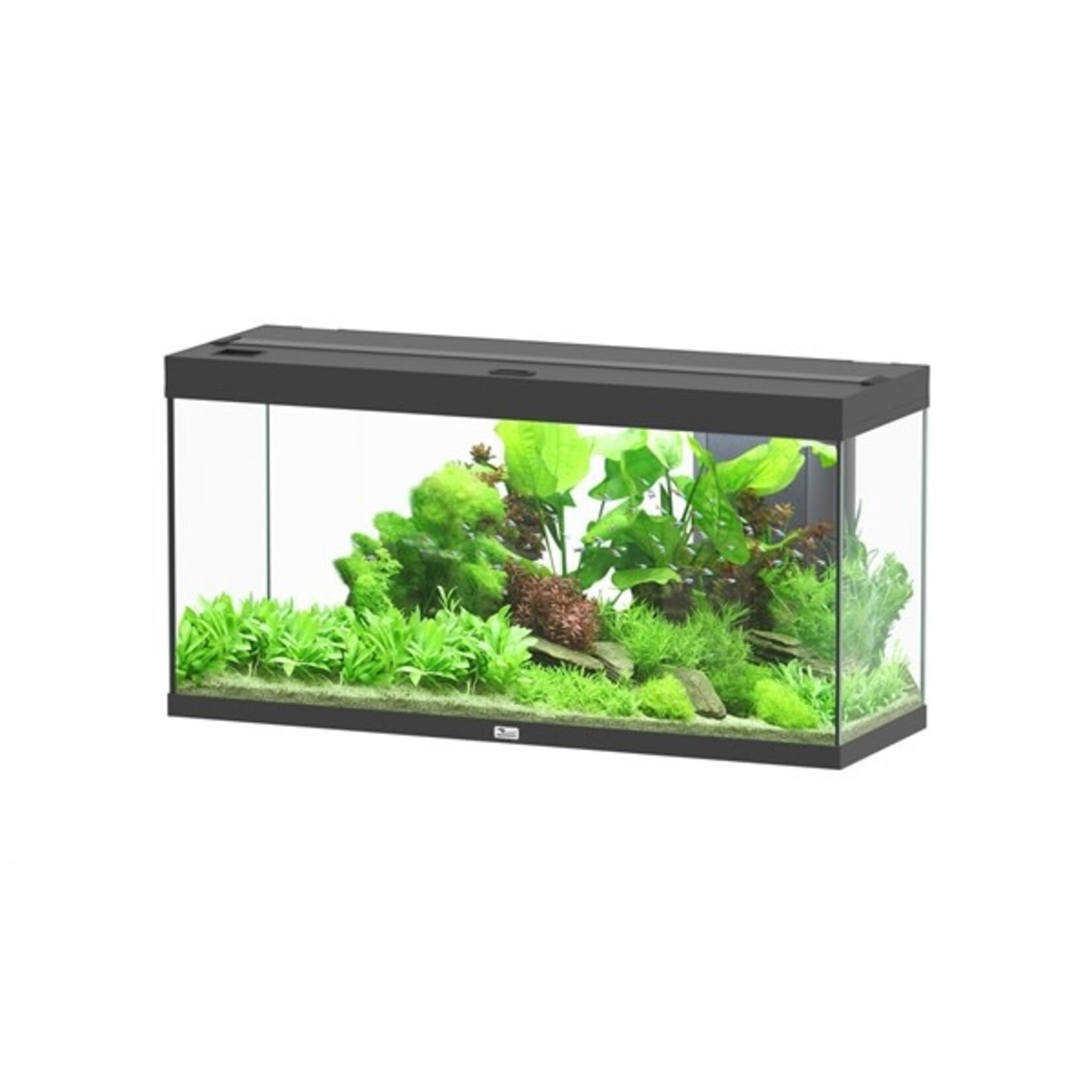 Aquatlantis Aquarium splendid 120 biobox zwart -001