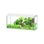 Aquatlantis AQUATLANTIS AQUARIUM SPLENDID 120 BIOBOX WIT-025